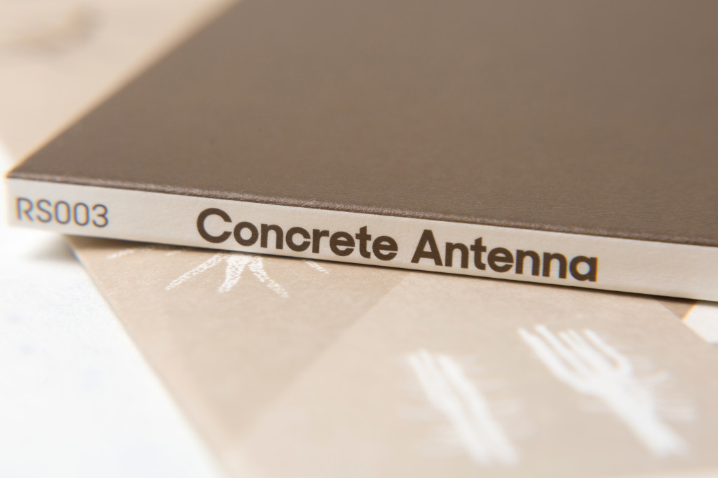 Concrete_Antenna_spine